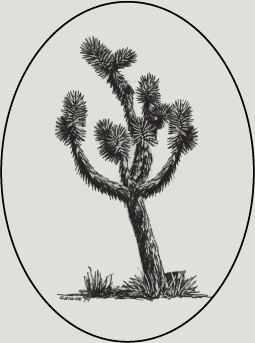 Joshua Tree Icon